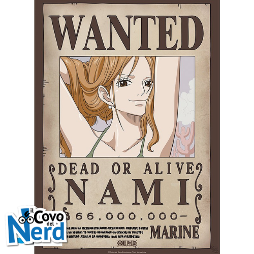 Stai cercandoWanted One Piece? Sei nel Posto Giusto!